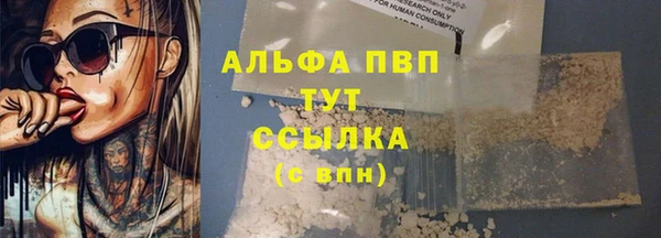 СК Карпинск