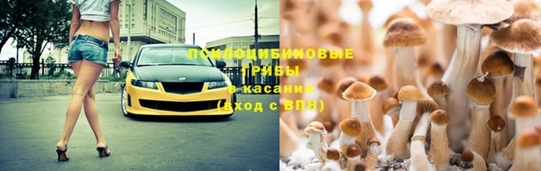 mdpv Карталы