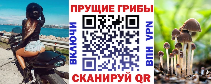Галлюциногенные грибы MAGIC MUSHROOMS  Купить закладки  Будённовск 